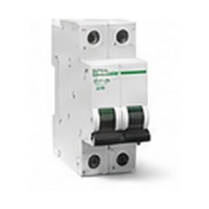 Interruptor Automático 2x16A Schneider